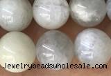 CMS2051 15.5 inches 8mm round moonstone gemstone beads