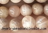 CMS2054 15.5 inches 6mm round moonstone gemstone beads