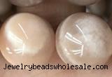 CMS2057 15.5 inches 12mm round moonstone gemstone beads