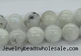 CMS206 15.5 inches 12mm round moonstone gemstone beads wholesale