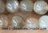 CMS2060 15.5 inches 8mm round moonstone gemstone beads