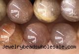 CMS2063 15.5 inches 8mm round moonstone gemstone beads