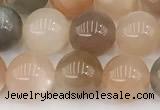 CMS2071 15 inches 8mm round moonstone gemstone beads