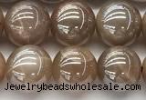 CMS2082 15 inches 10mm round AB-color moonstone beads