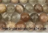 CMS2086 15 inches 6mm round moonstone gemstone beads