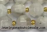 CMS2090 15 inches 9mm - 10mm faceted white moonstone beads