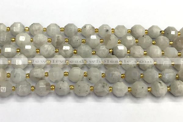 CMS2090 15 inches 9mm - 10mm faceted white moonstone beads