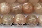 CMS2110 15 inches 7mm round moonstone beads