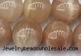 CMS2113 15 inches 10mm round moonstone beads