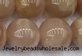 CMS2114 15 inches 11mm round moonstone beads