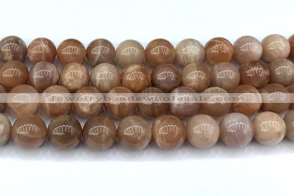 CMS2115 15 inches 12mm round moonstone beads