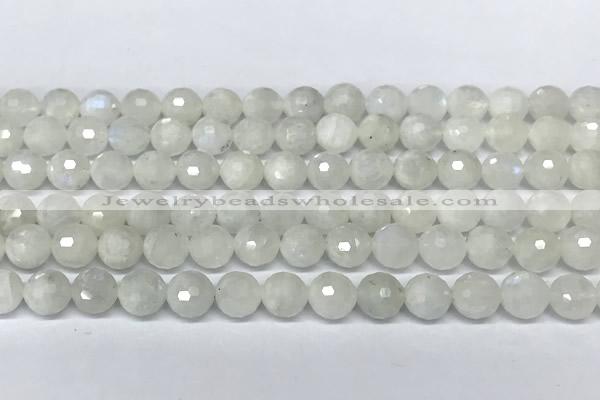 CMS2124 15 inches 8mm faceted rondelle white moonstone beads