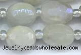 CMS2130 15 inches 8*10mm - 9*12mm faceted nuggets AB-color moonstone beads