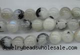 CMS216 15.5 inches 8mm round white moonstone gemstone beads