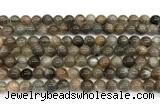 CMS2287 15 inches 6mm round grey moonstone beads wholesale