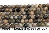 CMS2288 15 inches 8mm round grey moonstone beads wholesale