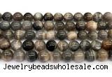 CMS2289 15 inches 10mm round grey moonstone beads wholesale