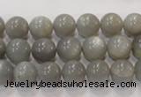 CMS305 15.5 inches 10mm round natural grey moonstone beads wholesale