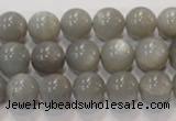 CMS306 15.5 inches 11mm round natural grey moonstone beads wholesale