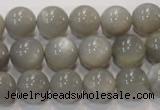 CMS307 15.5 inches 12mm round natural grey moonstone beads wholesale