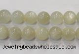 CMS311 15.5 inches 6mm round natural moonstone beads wholesale