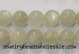 CMS313 15.5 inches 10mm round natural moonstone beads wholesale