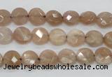 CMS43 15.5 inches 8mm faceted coin moonstone gemstone beads