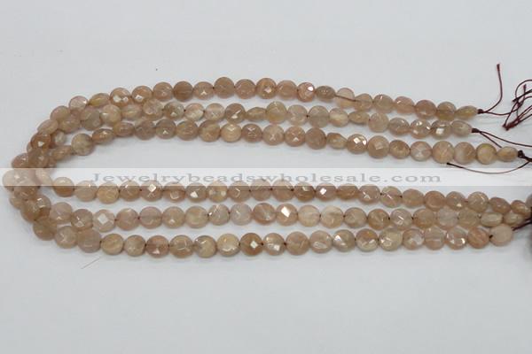 CMS43 15.5 inches 8mm faceted coin moonstone gemstone beads