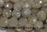 CMS44 15.5 inches 10mm faceted coin moonstone gemstone beads