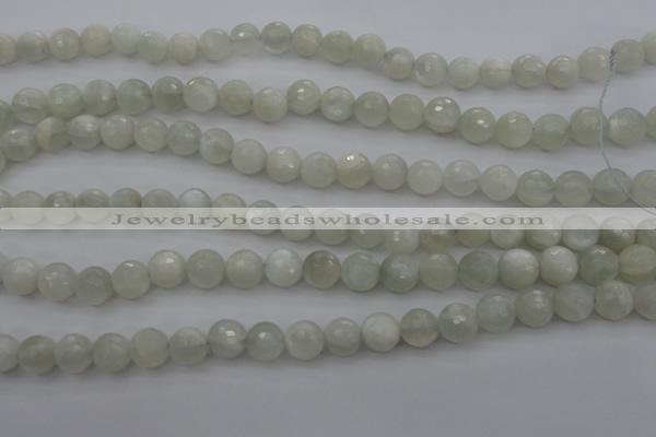 CMS453 15.5 inches 8mm faceted round white moonstone gemstone beads