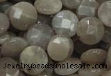 CMS46 15.5 inches 14mm faceted coin moonstone gemstone beads