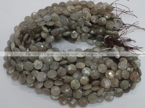 CMS46 15.5 inches 14mm faceted coin moonstone gemstone beads