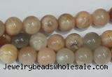 CMS503 15.5 inches 8mm round moonstone beads wholesale