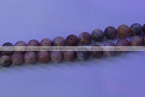 CMS507 15.5 inches 16mm round moonstone beads wholesale