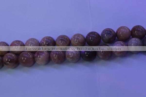 CMS508 15.5 inches 18mm round moonstone beads wholesale