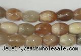 CMS511 15.5 inches 8*12mm rice moonstone beads wholesale