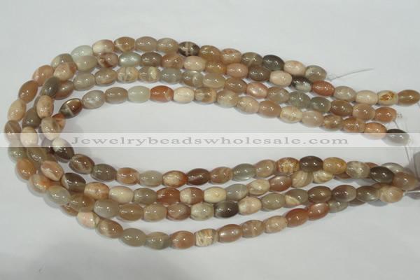 CMS511 15.5 inches 8*12mm rice moonstone beads wholesale