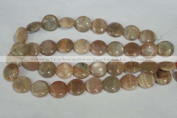 CMS525 15.5 inches 20mm flat round moonstone beads wholesale