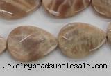 CMS55 15.5 inches 18*25mm faceted flat teardrop moonstone beads