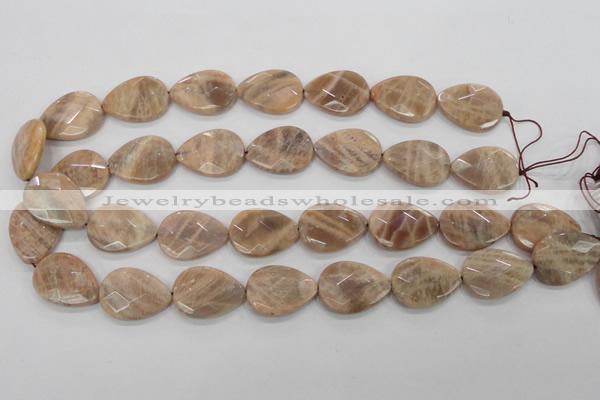 CMS55 15.5 inches 18*25mm faceted flat teardrop moonstone beads