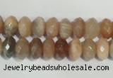 CMS565 15.5 inches 6*10mm faceted rondelle moonstone beads wholesale