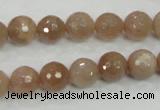 CMS60 15.5 inches 10mm faceted round moonstone gemstone beads