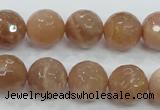 CMS62 15.5 inches 14mm faceted round moonstone gemstone beads