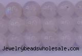 CMS642 15.5 inches 8mm round white moonstone beads wholesale