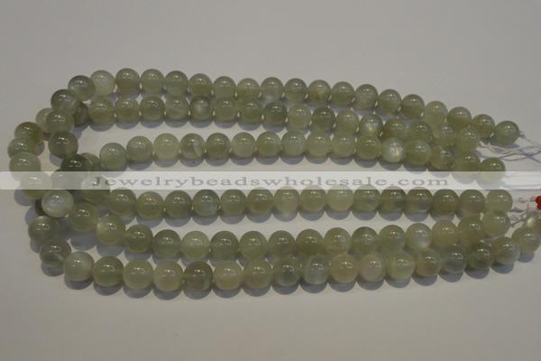 CMS653 15.5 inches 10mm round grey moonstone beads wholesale