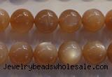 CMS734 15.5 inches 12mm round A grade natural peach moonstone beads