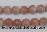 CMS754 15.5 inches 10mm round natural moonstone beads wholesale