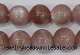 CMS756 15.5 inches 14mm round natural moonstone beads wholesale