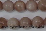 CMS757 15.5 inches 15mm round natural moonstone beads wholesale