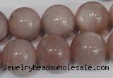 CMS759 15.5 inches 17mm round natural moonstone beads wholesale